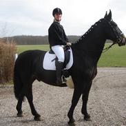 Oldenborg Wagner Hornbæk