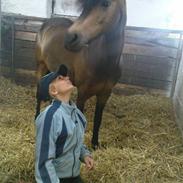 Anden særlig race Egtveds Emmely¤Solgt¤:S