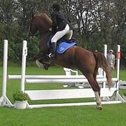 Frederiksborg Sara Voldbjerggård