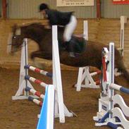 Frederiksborg Sara Voldbjerggård