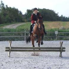 Traver AnneRikke Neergård SOLGT