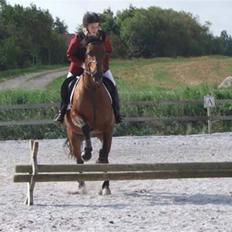 Traver AnneRikke Neergård SOLGT