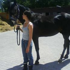 Anden særlig race Tjalfe