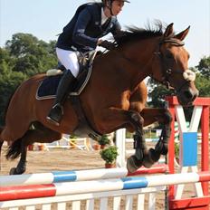 Anden særlig race Aktiv Junior (Lånehest)