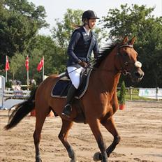 Anden særlig race Aktiv Junior (Lånehest)