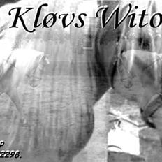 Haflinger Kløvs Wito gammel part:'(