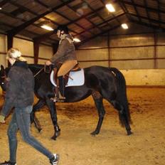 Anden særlig race Bianca *SOLGT*