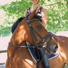 Hollandsk Sportspony Browny - Solgt