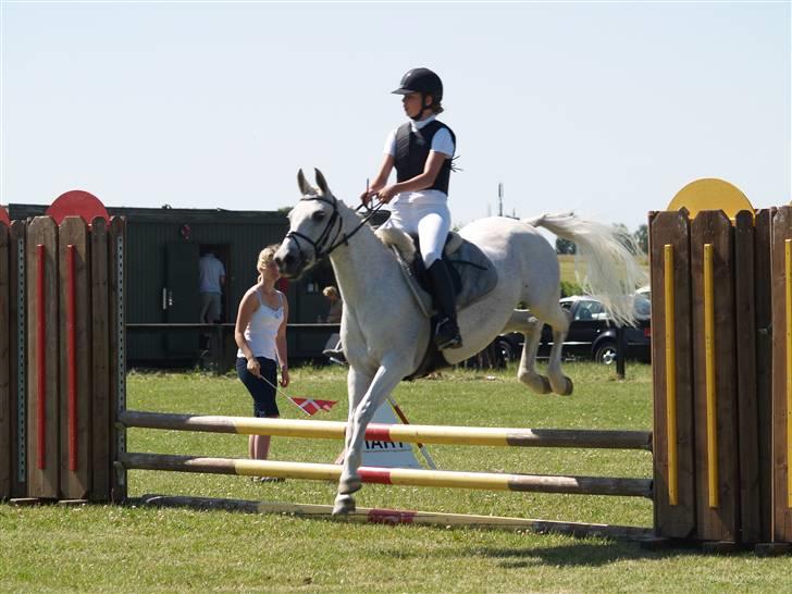 Anden særlig race Bella *SOLGT* - stævne... !! billede 9