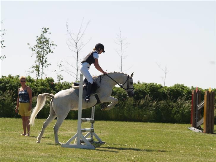 Anden særlig race Bella *SOLGT* - stævne... !! billede 10