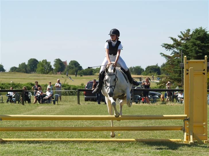 Anden særlig race Bella *SOLGT* - stævne... !! billede 11