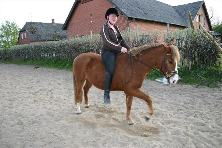 DSP Guldborggaards Remir - Remir under rytter for 5 gang billede 19