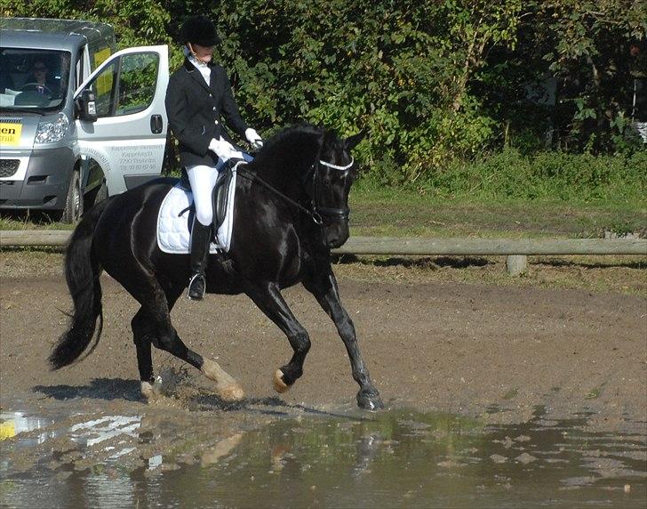 Oldenborg Østrupgård Primus billede 10