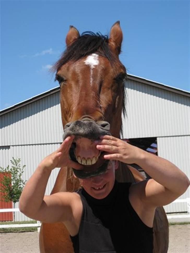 Anden særlig race Ari  - Hey der, velkommen ;) billede 1