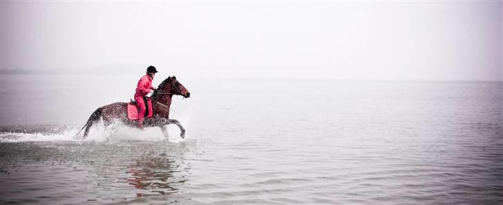 Anden særlig race Ari  - vores første galop i vandet :) billede 6