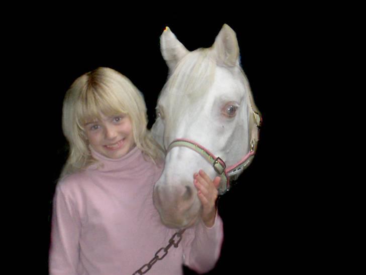 Welsh Mountain (sec A) Meadows Betty Blue - Astrid Og Betty billede 1