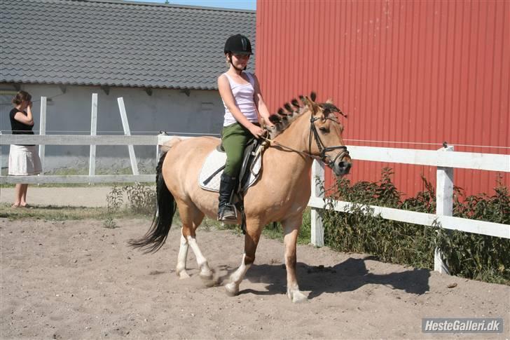 Anden særlig race Carla |  *! SOLGT :'( !* - vi varmer op til stævnet ( billed: Lone P billede 6