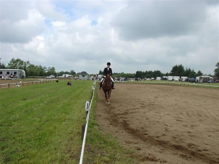 Frederiksborg Flore'll billede 4