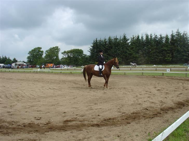 Frederiksborg Flore'll billede 5
