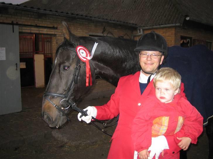 Dansk Varmblod  Gl. Korups Tornado - Klubmester i spring 2006 billede 1