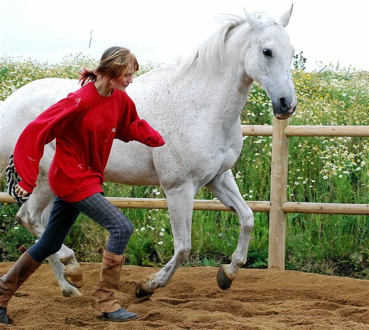 Anden særlig race Bento (RIP) - #10 sommer 2009 - harmoni mellem hest og rytter. Fotograf: Mia Jørgensen billede 10