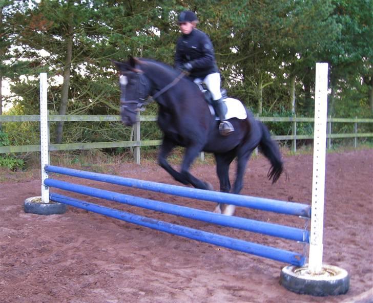 Oldenborg Samir - Stævne i HRK 2. okt. 2008 - Lc2 (60,78 %) og Begynderspring (fik 2 stop. x|) *FOTO//ANNE* [opvarmning] billede 4