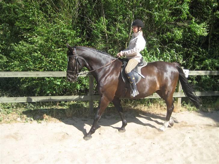 Oldenborg Samir - Skridt. =D *FOTO//MARIE* billede 10