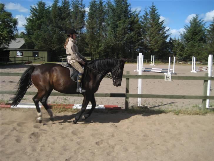 Oldenborg Samir - Galop. x) *FOTO//MARIE* billede 18