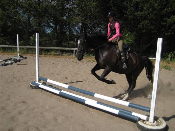 Oldenborg Samir - Aaaaaha´.x) 30 cm eller noget. Men hun springer det, som var det 60?. xD *FOTO//MARIE* billede 19