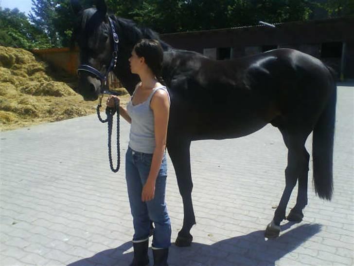 Anden særlig race Tjalfe billede 2