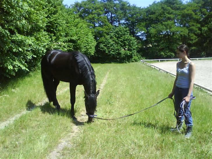 Anden særlig race Tjalfe billede 4