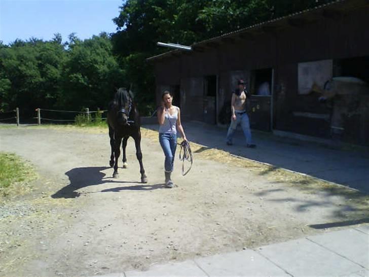 Anden særlig race Tjalfe billede 5