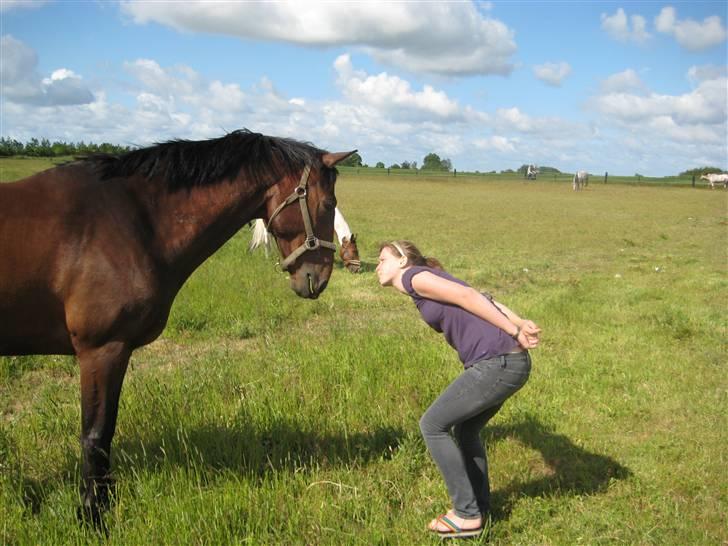Anden særlig race Azur - på folden 12/6 08 billede 6