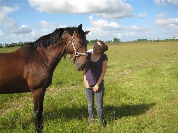 Anden særlig race Azur - på folden 12/6 08 billede 7