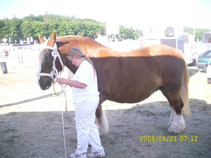 Jyde Silvia - her er vi på Gl.Estrup landsskue <3<3<3: foto bedste billede 6