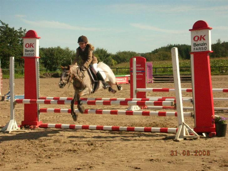 Welsh Pony (sec B) Amandas ElveraSolgt:/ - nurh billede 8