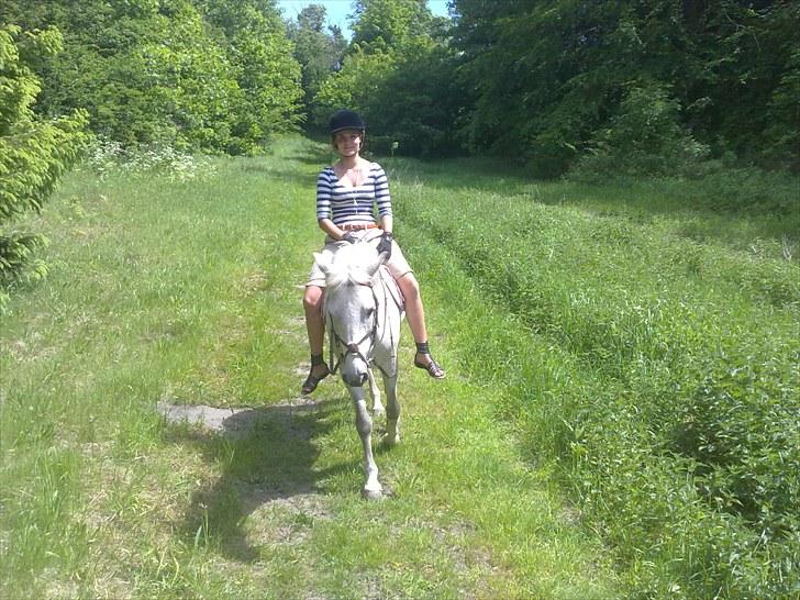 New Forest WesterVelds Carine - Så hyggeligt at ride i skoven i normalt tøj og ingen sadel :) billede 11