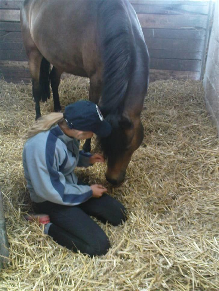 Anden særlig race Egtveds Emmely¤Solgt¤:S - Hvad er det du har der???? Må jeg ikke få det?<3<3 billede 6