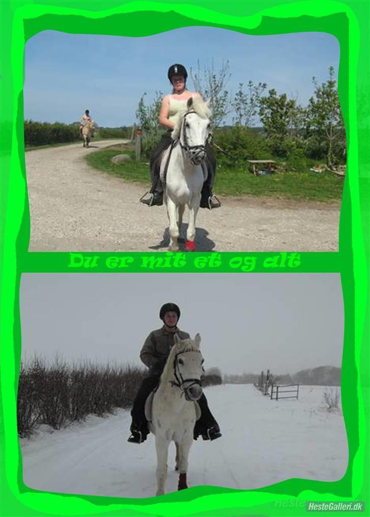 Anden særlig race Fraja<3 R.I.P:'( - 6: my live<33:) billede 6