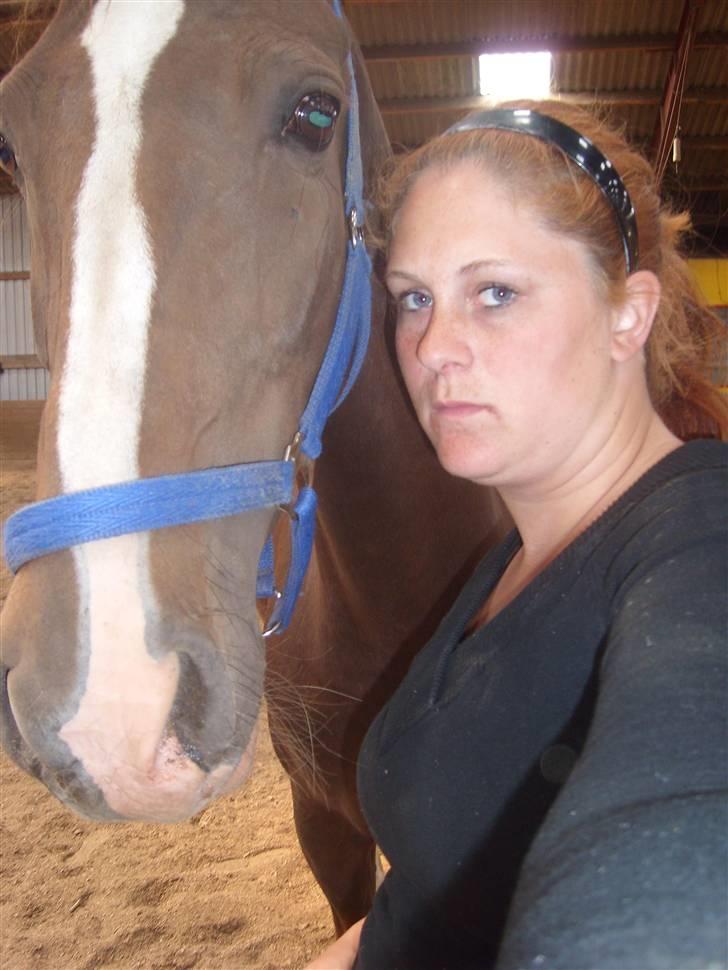 Hollandsk Varmblod Wendy *solgt* billede 19