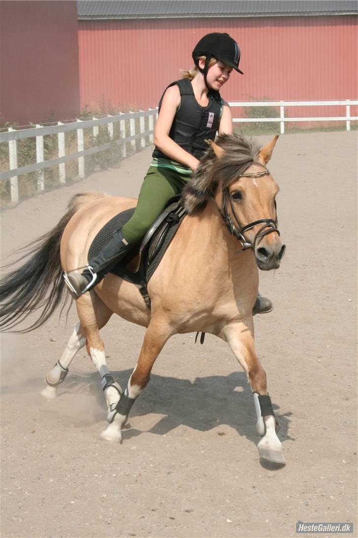 Anden særlig race Carla |  *! SOLGT :'( !* - søde lille carla ( billed: Lone P billede 9