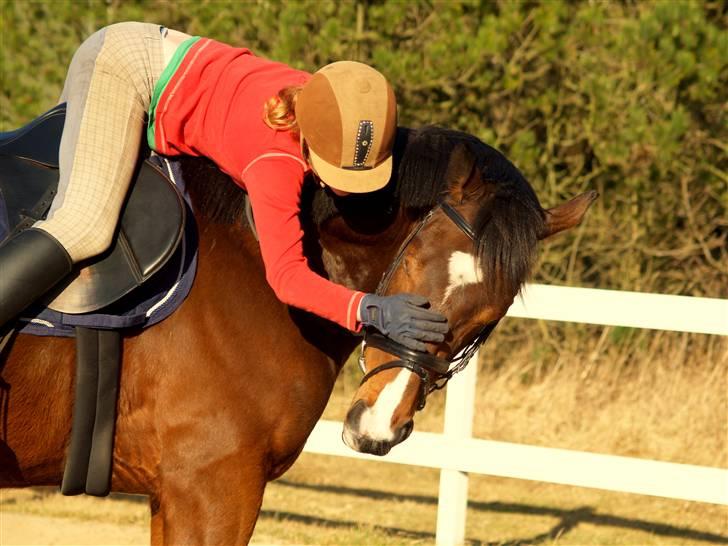 Fuldblod (XX) Dzhani     *aflivet* - den smukke Dzhani og jeg <3  Foto: Henriette Andersen billede 9