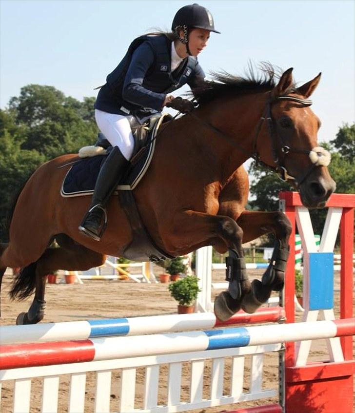 Anden særlig race Aktiv Junior (Lånehest) - Kalrslunde Open ´10 billede 2