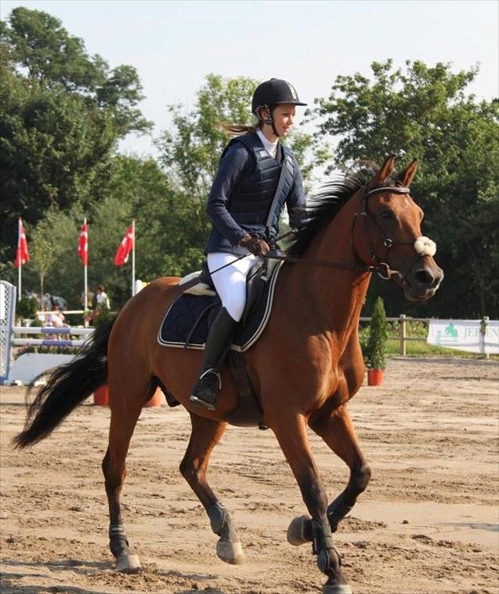 Anden særlig race Aktiv Junior (Lånehest) - Karlslunde Open ´10 billede 3