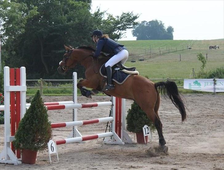 Anden særlig race Aktiv Junior (Lånehest) - Karlslunde Open ´10 billede 4