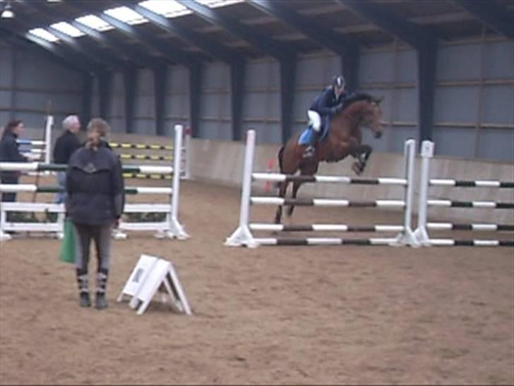 Anden særlig race Aktiv Junior (Lånehest) - LB i Hashøj forår 09 billede 7