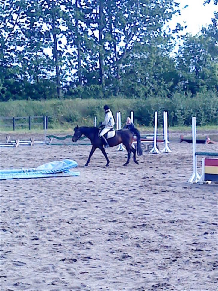 DSP Bæklunds Matina <33 - dårlig kvalitet, taget fra mobil(; - foto: pernille.d; billede 20