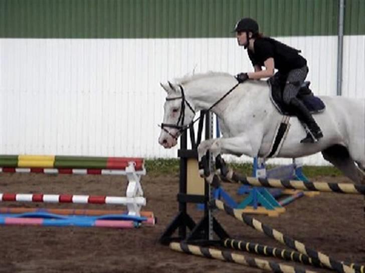 Knabstrupper Wickie - #11 Springtræning på min fødselsdag XD <3 billede 11