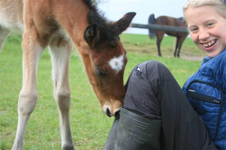 New Forest *| Fjordglimts Jupiter - hmm... hvad er det hun har på fødderne?? ;P billede 19