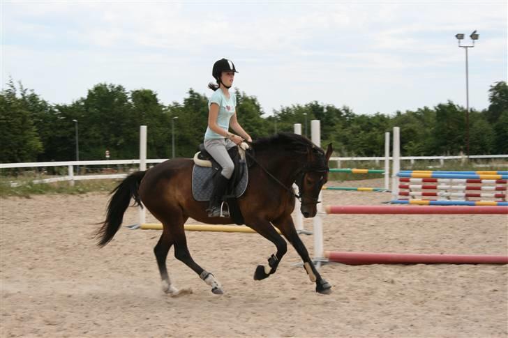 Anden særlig race Voldbjerggårds Musse - Musse og jeg dressur - Galop :D Foto: Helene billede 2